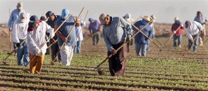 migrant workers in California